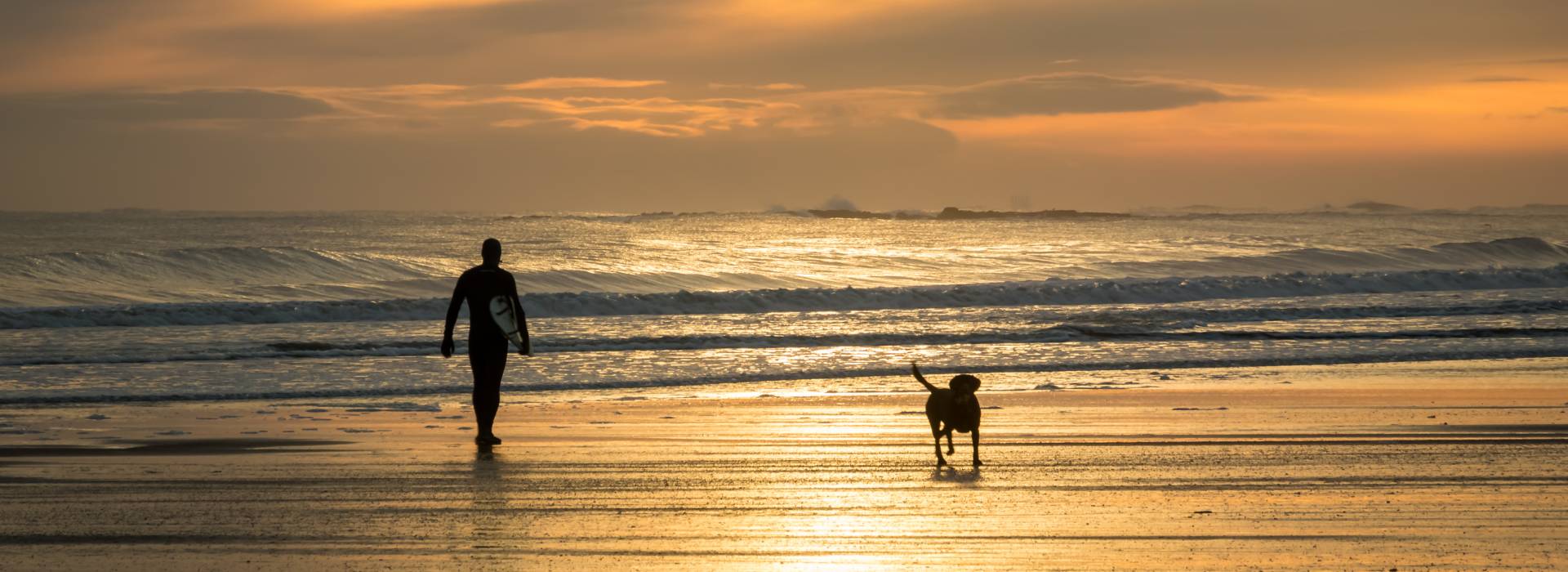 Surfer on beach with dog